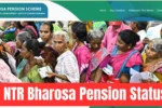 NTR Bharosa Pension Status Check